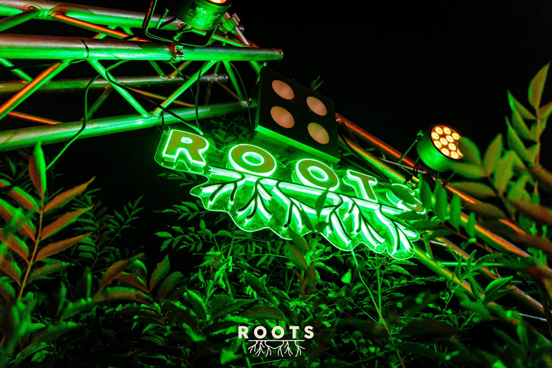 ROOTS IX cover