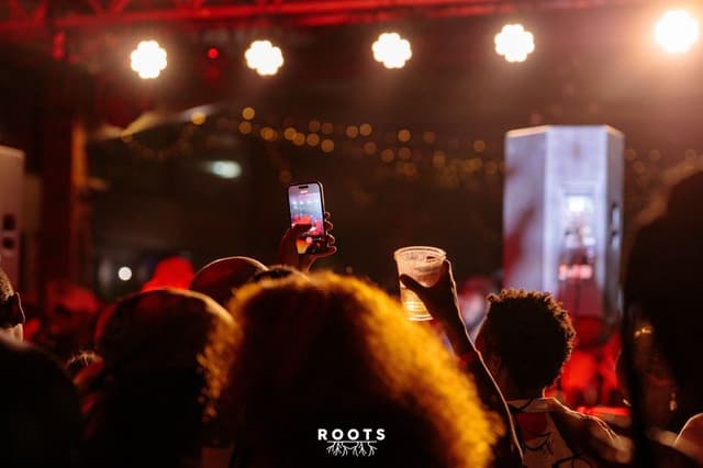 ROOTS 1 gallery image 5