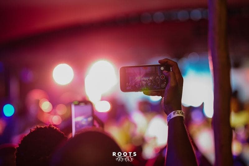 ROOTS V 2