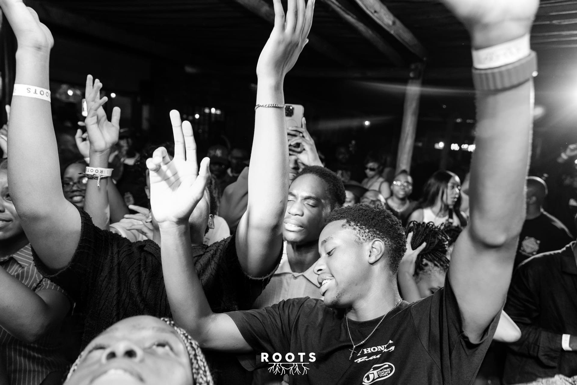ROOTS VIII photo 3